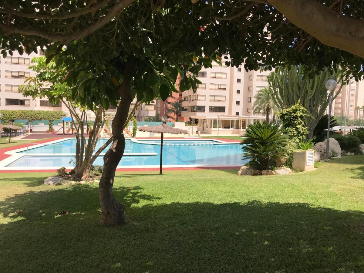 Playa Dos Avenidas Alicante Exterior photo